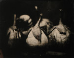 Photographer Robert Turney Wet-plate 11x14 portfolio